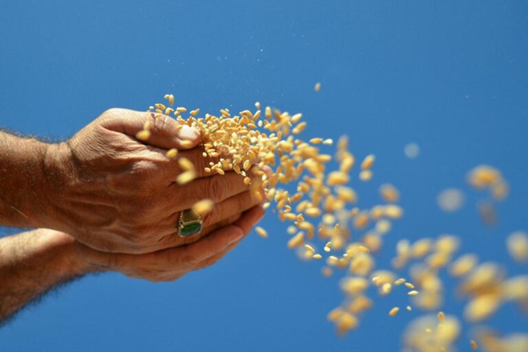 konya-hubutat-aa-1615525